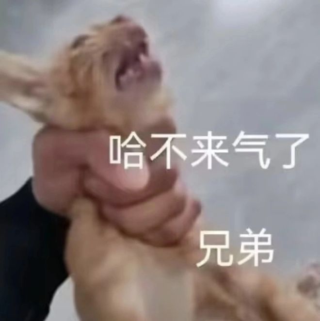 的大罪人监狱都被民间礼物塞满了…开元棋牌给日本人提供不打码影片(图20)